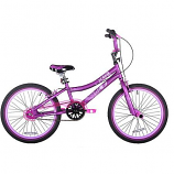 Children's Girls Bike Rental 20"